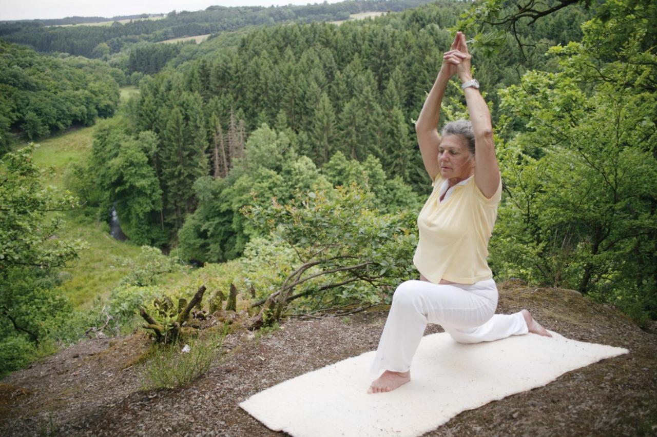 فندق هورن باد مينبرغفي  Yoga Vidya Ashram المظهر الخارجي الصورة